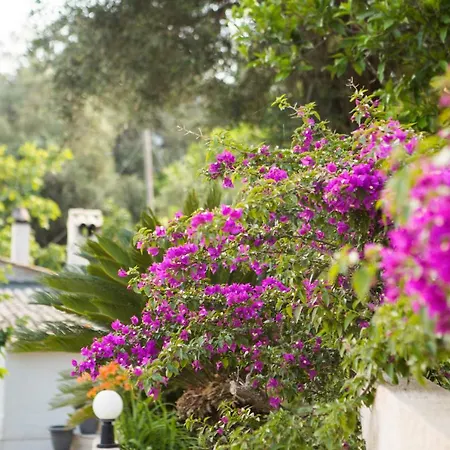 בית נופש Natural Beauty Spot *