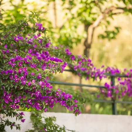 Natural Beauty Spot *